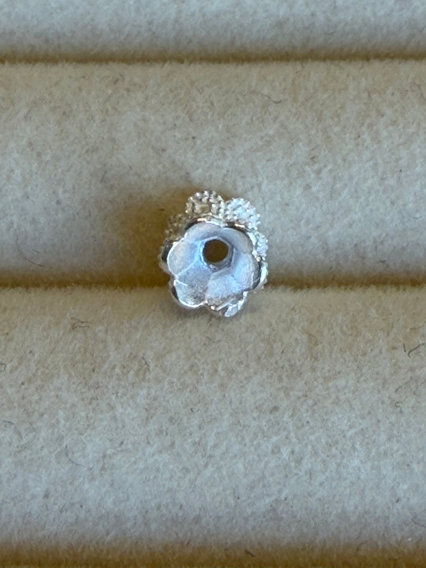 Silver charm