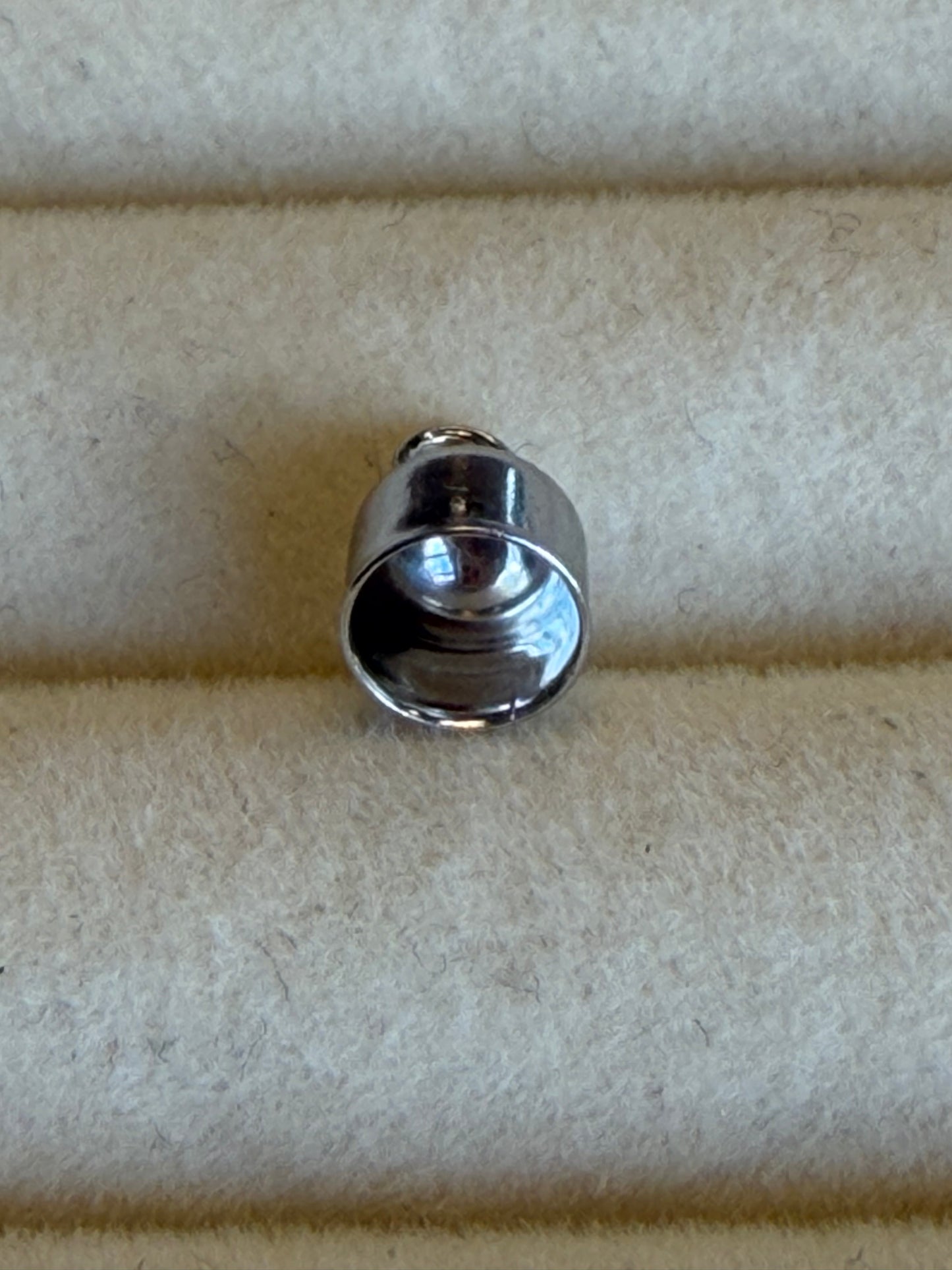 Silver charm
