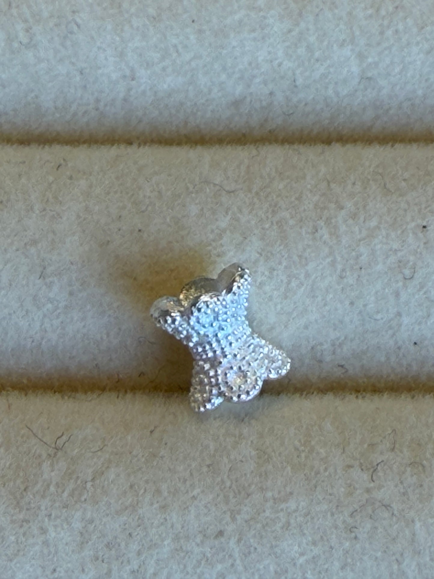 Silver charm