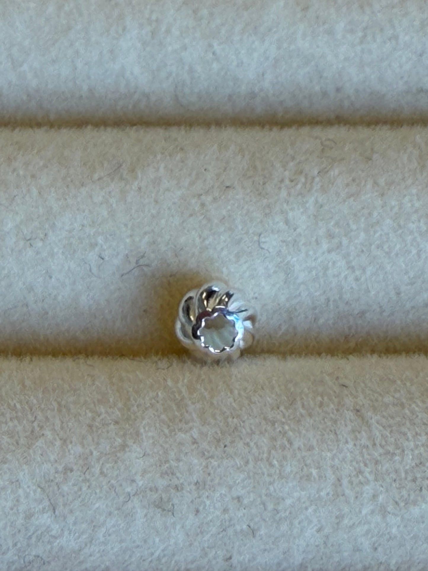 Silver charm